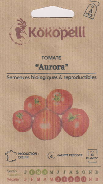 Tomaatti "Aurora" Tomaatti "Aurora"